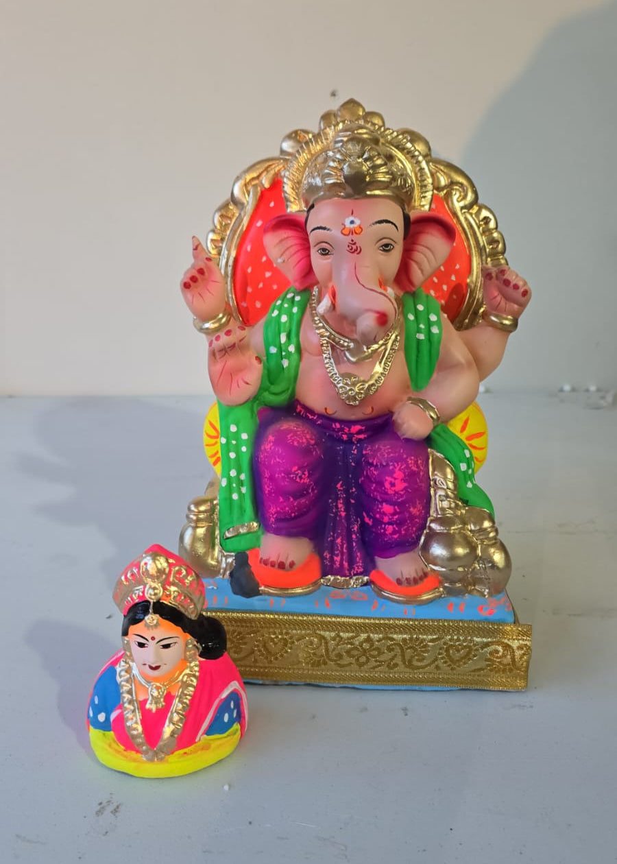 Colorful Ganesha Idol Set